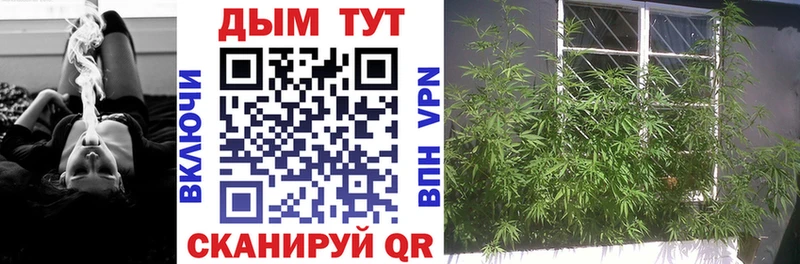 Купить  Шелехов  Каннабис Amnesia 